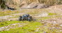 RC modellautó Elektro Buggy 4WD RtR 2,4 GHz 1:8, Reely Raptor 6S Brushless 17. bélyegkép