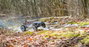 RC modellautó Elektro Buggy 4WD RtR 2,4 GHz 1:8, Reely Raptor 6S Brushless 21. bélyegkép