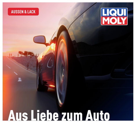 Liqui Moly 1548 LIQUI MOLY #####Insektenschwamm 1 db 7. kép