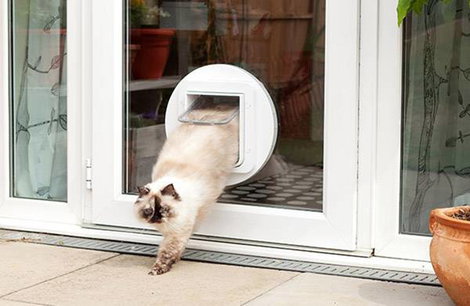 Inteligens háziállat ajtó macskák és kistestű kutyákhoz, fehér, SureFlap Mikrochip Cat door 2. kép