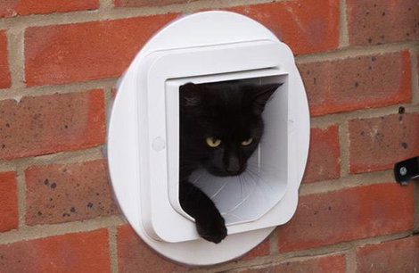 Inteligens háziállat ajtó macskák és kistestű kutyákhoz, fehér, SureFlap Mikrochip Cat door 3. kép