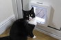 Inteligens háziállat ajtó macskák és kistestű kutyákhoz, fehér, SureFlap Mikrochip Cat door 4. bélyegkép