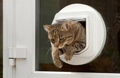 Inteligens háziállat ajtó macskák és kistestű kutyákhoz, fehér, SureFlap Mikrochip Cat door 5. kép