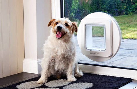 SureFlap Mikrochip Pet door Háziállat ajtó Fehér 1 db 4. kép
