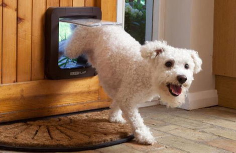 SureFlap Mikrochip Pet door Háziállat ajtó Fehér 1 db 5. kép