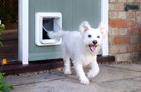 SureFlap Mikrochip Pet door Háziállat ajtó Fehér 1 db 6. kép