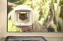 SureFlap Mikrochip DualScan Háziállat ajtó Fehér 1 db 7. bélyegkép