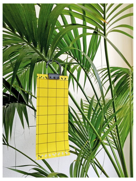 Swissinno NaturalControl 1 249 235 Ragasztó fólia, Attraktáns Ragadós lap rovaroknak (H x Sz) 240 mm 5. kép