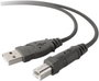 Belkin USB kábel USB 2.0 USB-A dugó, USB-B dugó 3.00 m Szürke F3U133b10 bélyegkép