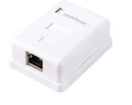 Renkforce Hálózati adapter Falra szerelhető CAT 6 1 port Fehér