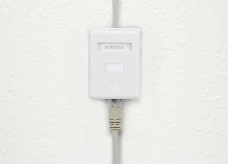Renkforce Hálózati adapter Falra szerelhető CAT 6 1 port Fehér 6. kép