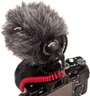 RODE Microphones VIDEO MICRO Kamera mikrofon Átviteli mód:Vezetékes Vezetékkel, Szélvédővel, Villanó 4. bélyegkép