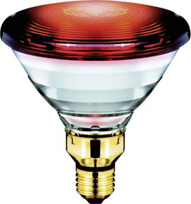 Philips Lighting Infravörös lámpa E27 150 W (Ø x H) 121 mm x 136 mm 230 V 1 db
