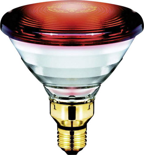 Philips Lighting Infravörös lámpa E27 150 W (Ø x H) 121 mm x 136 mm 230 V 1 db