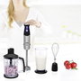 Princess 01.221221.01.001 Rúdmixer 1000 W Fokozatmentes sebesség állítás Ezüst, Fekete 2. bélyegkép