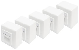 Digitus DN-9006/B5-N Hálózati csatlakozódoboz Falra szerelhető CAT 6 2 port Tiszta fehér