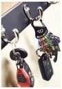 NITE Ize Kulcstartó karabiner KLKP-01-R3 Nite Ize Fekete, Türkiz, Narancs, Szürke, Zöld 1 db 14. bélyegkép