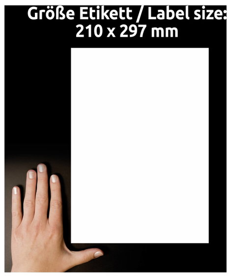 Avery-Zweckform LR3478-10 Univerzális etikett 210 x 297 mm Újrafeldolgozott papír Fehér 10 db Végleg 5. kép