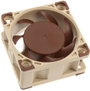 Noctua NF-A4x20 5V PWM Számítógépház ventilátor Barna (Sz x Ma x Mé) 40 x 40 x 20 mm 3. bélyegkép