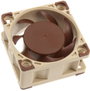 Noctua NF-A4x20 5V Számítógépház ventilátor Fekete (Sz x Ma x Mé) 40 x 40 x 20 mm 3. bélyegkép