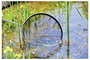 Oase 84310 Szák Hálószélesség: 2 mm (H x Sz x Ma) 56 x 56 x 32 cm 4. bélyegkép