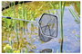Oase 84297 Szák Hálószélesség: 5 mm (H x Sz x Ma) 37 x 30 x 25 cm 3. bélyegkép