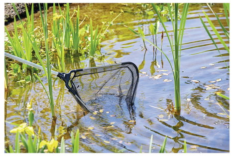 Oase 84296 Szák Hálószélesség: 5 mm (H x Sz x Ma) 40 x 38 x 45 cm 5. kép