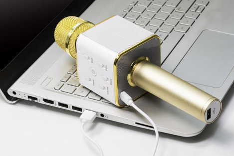 Technaxx BT-X31 Bluetooth hangfal AUX, USB Arany, Fehér 3. kép