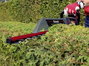 Einhell GC-EH 6055/1 Sövénynyíró Elektromos Védőkengyellel 600 W 610 mm 4. bélyegkép