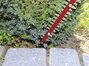 Einhell GC-EH 6055/1 Sövénynyíró Elektromos Védőkengyellel 600 W 610 mm 5. bélyegkép