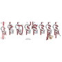 NITE Ize NI-C9L-02-01 Karabíner Figure9 Large 116 mm x 56 mm x 13 mm 1 db 18. bélyegkép