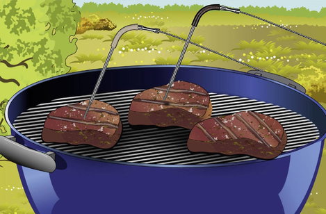 Laserliner 082.429A Beszúrós hőmérő 300 °C (max) 8. kép