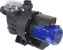 Medence szivattyú 15000 l/óra 13,5 m, Renkforce RF-4604758 2. bélyegkép