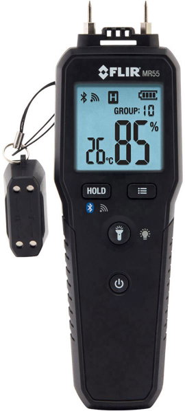 Beszúrós anyagnedvesség mérő, FLIR MR55