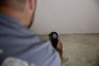 Beszúrós anyagnedvesség mérő, FLIR MR55 9. bélyegkép