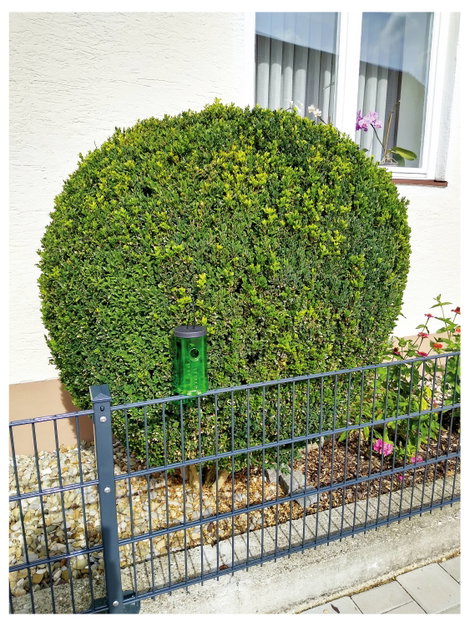 Swissinno Natural Control Tree Moth Trap 1 440 001K Attraktáns Selyemfényű puszpángmoly csapda Zöld 4. kép