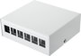 Renkforce 6 port Konszolidációs pont box Keystone modulhoz Szereletlen bélyegkép