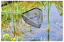 Oase 84308 Szák Hálószélesség: 4 mm (H x Sz x Ma) 40 x 41 x 25 cm 3. bélyegkép