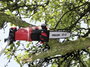 Einhell 3410805 Akku Magassági ágvágó, Sövényvágó olló GE-HC 18 Li T Kit Akkuval 18 V Lítiumion 88 c 7. bélyegkép