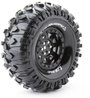 Louise 1:10 Crawler Abroncs Rowdy 2 db bélyegkép