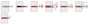 Fischer DuoPower 8x40 EasyHook Angle K (4) Tipli készlet 557917 1 készlet 6. bélyegkép