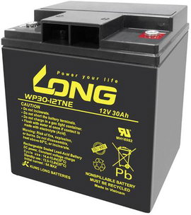 Long WP30-12TNE Ólomakku 12 V 30 Ah Ólom-vlies (AGM) (Sz x Ma x Mé) 166 x 176 x 125 mm M6 csavaros c