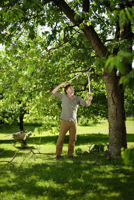 WOLF-Garten 73AGA010650 POWER CUT RS 800 V Ágvágó 75 cm Amboss 4. kép