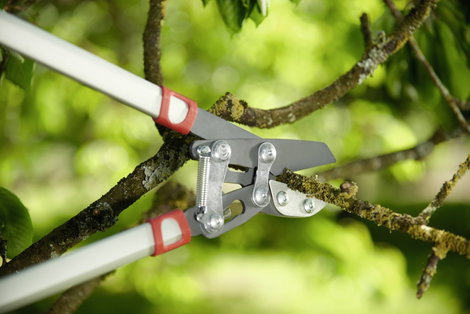 WOLF-Garten 73AGA010650 POWER CUT RS 800 V Ágvágó 75 cm Amboss 5. kép