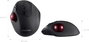 Perixx PERIMICE-717 D Trackball Rádiójel vezérlésű Lézer Fekete 7 Gombok 2000 dpi Ergonómikus, Beépí 3. bélyegkép