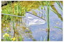 Oase 84318 Szák Hálószélesség: 2 mm (H x Sz x Ma) 38 x 39 x 19 cm 3. bélyegkép