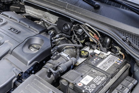 Többfrekvenciás dual nyestriasztó 60 m², Gardigo 78580 6. kép